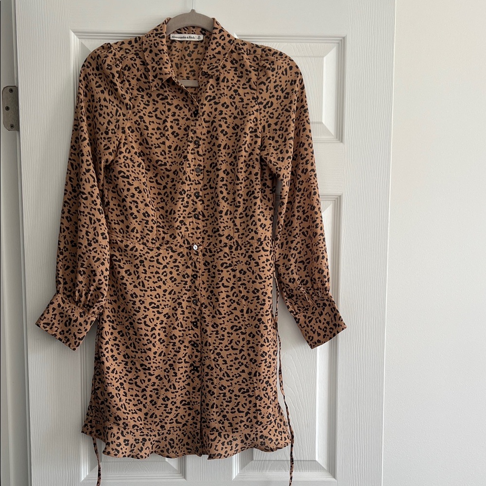 Abercrombie & Fitch Animal Print Dress